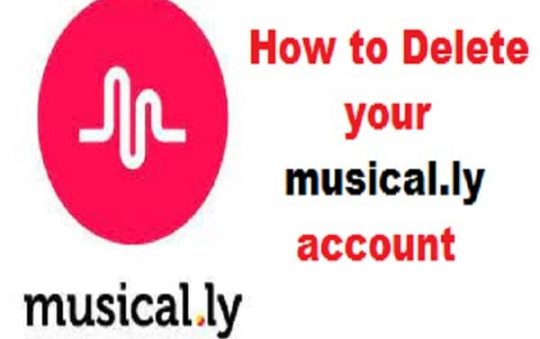 How to Delete Your musical ly Account